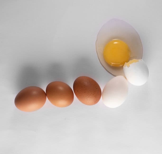How Much Protein to Build Muscle (Without Starving Yourself)